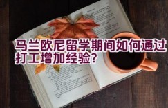 马兰欧尼留学期间如何通过打工增加经验？