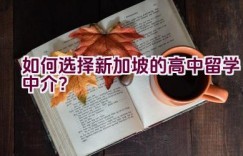 如何选择新加坡的高中留学中介？