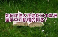 如何评估大连地区日本欧洲留学中介机构的排名？