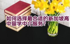 如何选择最合适的新加坡高中留学中介服务？