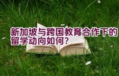 “新加坡与跨国教育合作下的留学动向如何？”