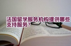 法国留学服务机构提供哪些支持服务？