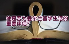 他是否为爱尔兰留学生活的重要伴侣？