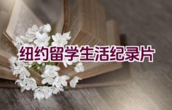 纽约留学生活纪录片