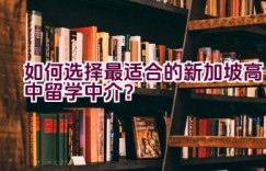 如何选择最适合的新加坡高中留学中介？