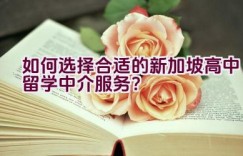 如何选择合适的新加坡高中留学中介服务？