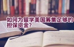 如何为留学美国筹集足够的担保资金？