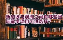 新加坡与澳洲之间有哪些国际留学项目可供选择？