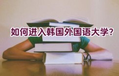 如何进入韩国外国语大学？