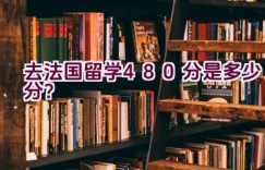 去法国留学480分是多少分？