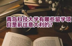 青岛科技大学有哪些留学项目是前往意大利的？