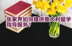 “张家界如何提供意大利留学指导服务？”