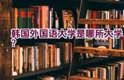 韩国外国语大学是哪所大学？