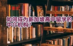 如何成为新加坡高中留学的中介机构？