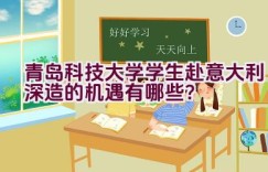 青岛科技大学学生赴意大利深造的机遇有哪些？