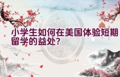 小学生如何在美国体验短期留学的益处？