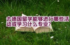 去德国留学能够进行哪些活动或学习什么专业？