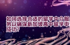 如何选择合适的留学中介服务以确保新加坡高中留学申请成功？