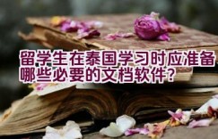 留学生在泰国学习时应准备哪些必要的文档软件？