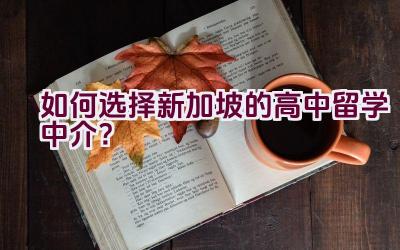 如何选择新加坡的高中留学中介？插图