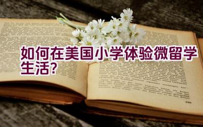 “如何在美国小学体验微留学生活？”插图