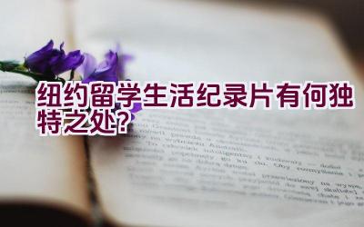 纽约留学生活纪录片有何独特之处？插图