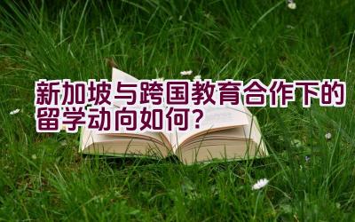 “新加坡与跨国教育合作下的留学动向如何？”插图