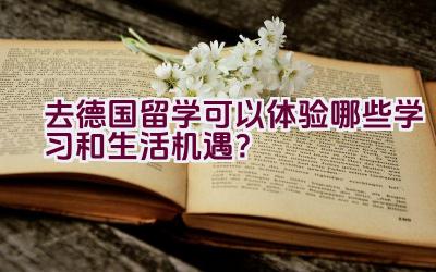 去德国留学可以体验哪些学习和生活机遇？插图