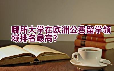 哪所大学在欧洲公费留学领域排名最高？插图