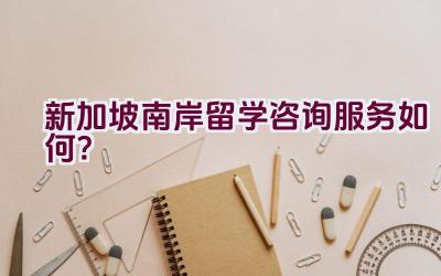 新加坡南岸留学咨询服务如何？插图