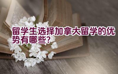 留学生选择加拿大留学的优势有哪些？插图