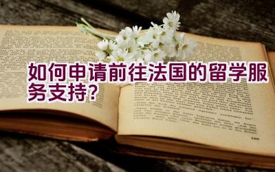 如何申请前往法国的留学服务支持？插图