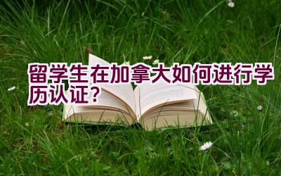 留学生在加拿大如何进行学历认证？插图