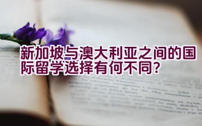 新加坡与澳大利亚之间的国际留学选择有何不同？插图