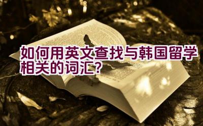 如何用英文查找与韩国留学相关的词汇？插图