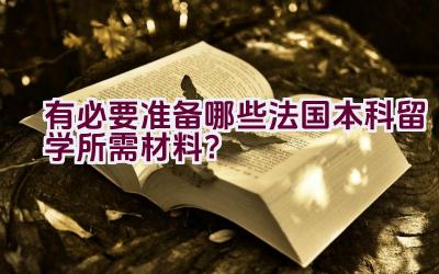 有必要准备哪些法国本科留学所需材料？插图