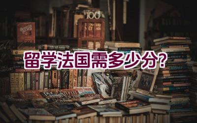 留学法国需多少分？插图