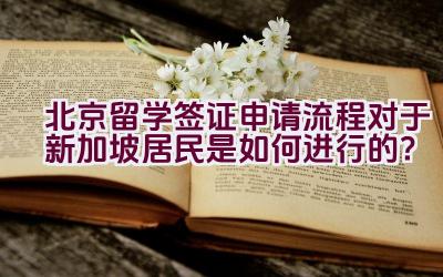 北京留学签证申请流程对于新加坡居民是如何进行的？插图