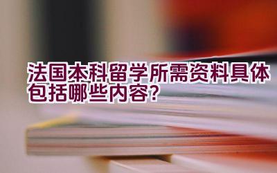 法国本科留学所需资料具体包括哪些内容？插图