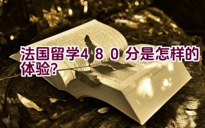 法国留学480分是怎样的体验？插图