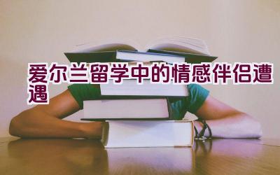 爱尔兰留学中的情感伴侣遭遇插图