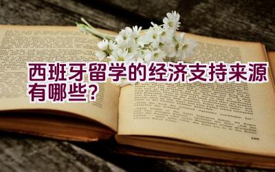 西班牙留学的经济支持来源有哪些？插图