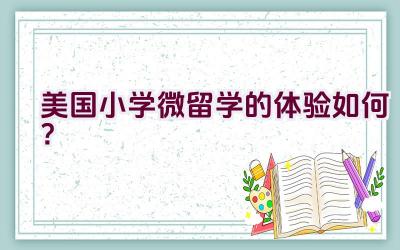 美国小学微留学的体验如何？插图