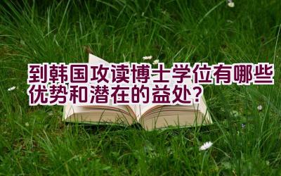 到韩国攻读博士学位有哪些优势和潜在的益处？插图